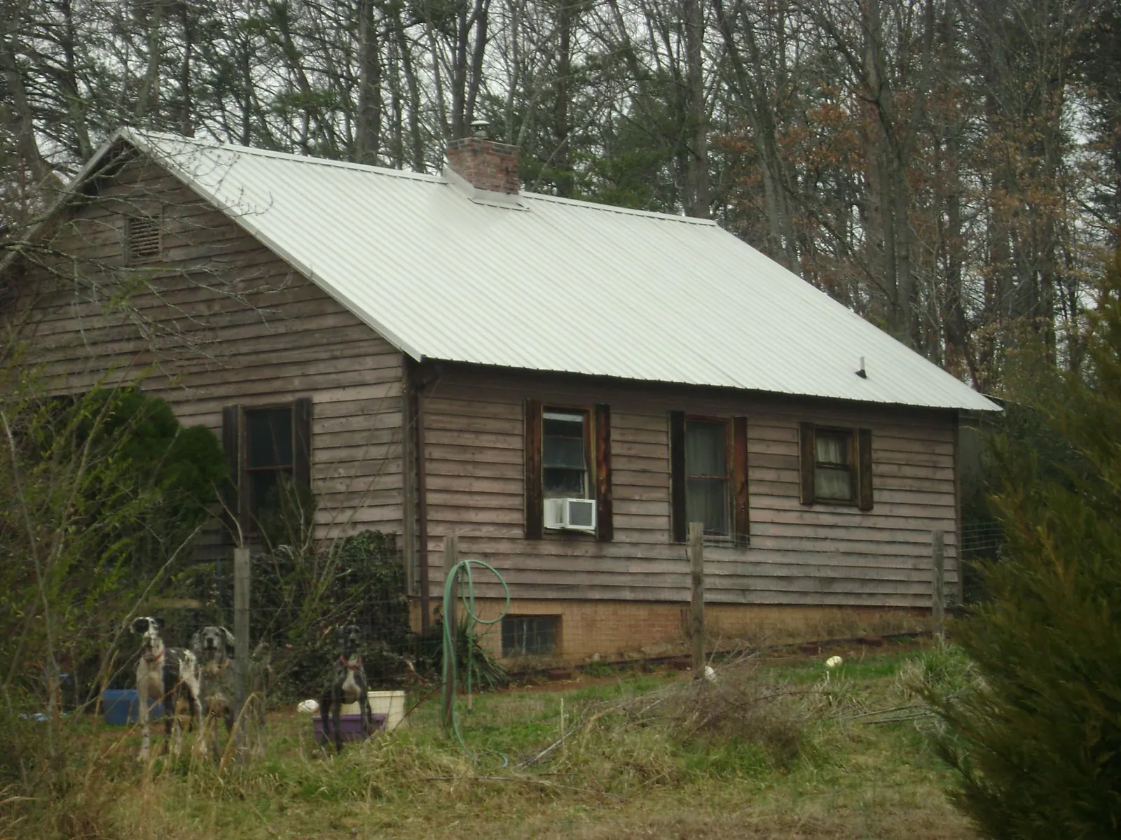 White metal roof on an old wood sided farmhouse, from a Asphalt Shingle Roof Repair job in Ruston
